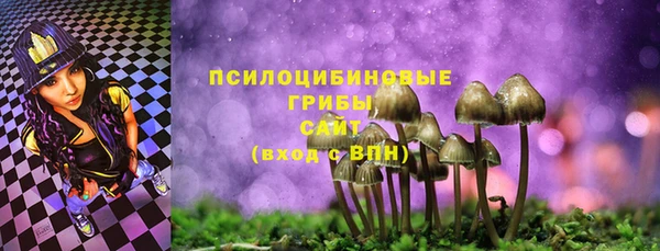 эйфоретик Алексеевка