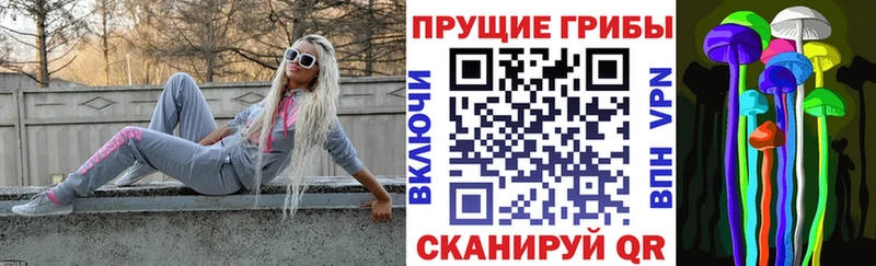 Галлюциногенные грибы Psilocybe даркнет Telegram Никольское как найти закладки